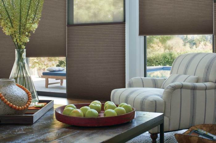 Blinds shades window motorized hunter douglas remote motorization silhouette coverings windows control shade treatments treatment blind motorize automated solar operated